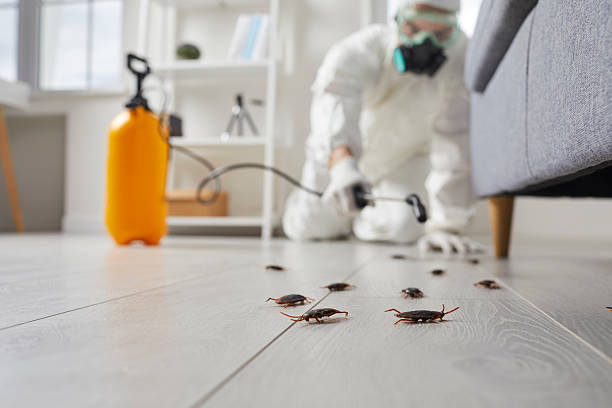 Commercial Kitchen Cockroach Control in New Concord